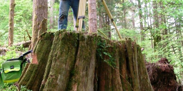 Northwest Surveying & GPS