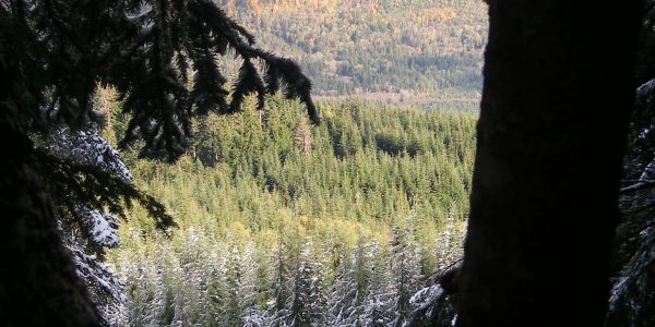 Northwest Surveying & GPS
